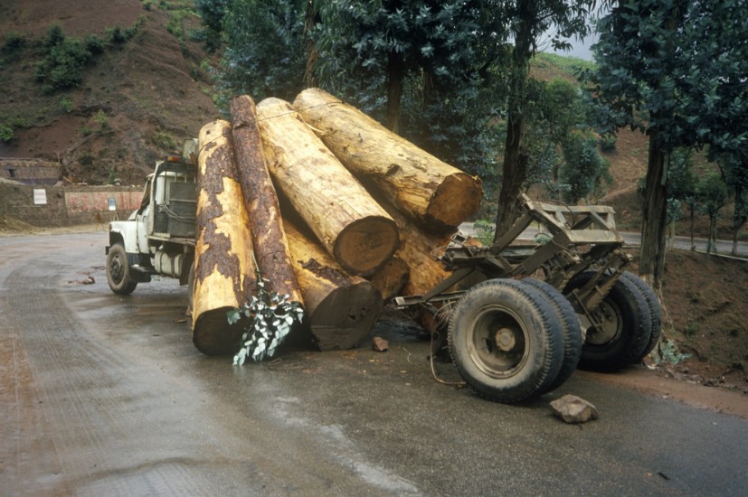 The Logging Truck Accident Lawyer